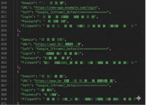 Example of Stealer logs